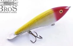 Bitten Warlock - MAG. -Fishing Gear Sales Clown