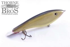 Bitten Warlock - MAG. -Fishing Gear Sales Gold Shiner