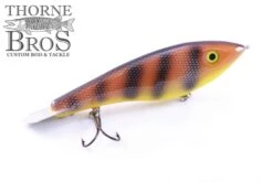 Bitten Warlock - MAG. -Fishing Gear Sales Orange Perch