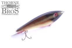 Bitten Warlock - MAG. -Fishing Gear Sales Redhorse ddc26f76 3650 46a5 b2d3 08fd269f0be6